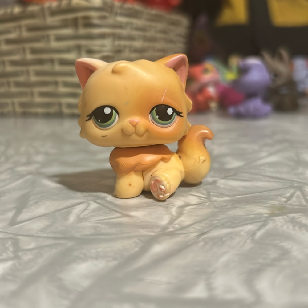 Persian Cat #217